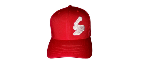FITTED COTTON/TWILL RED CAP L/XL